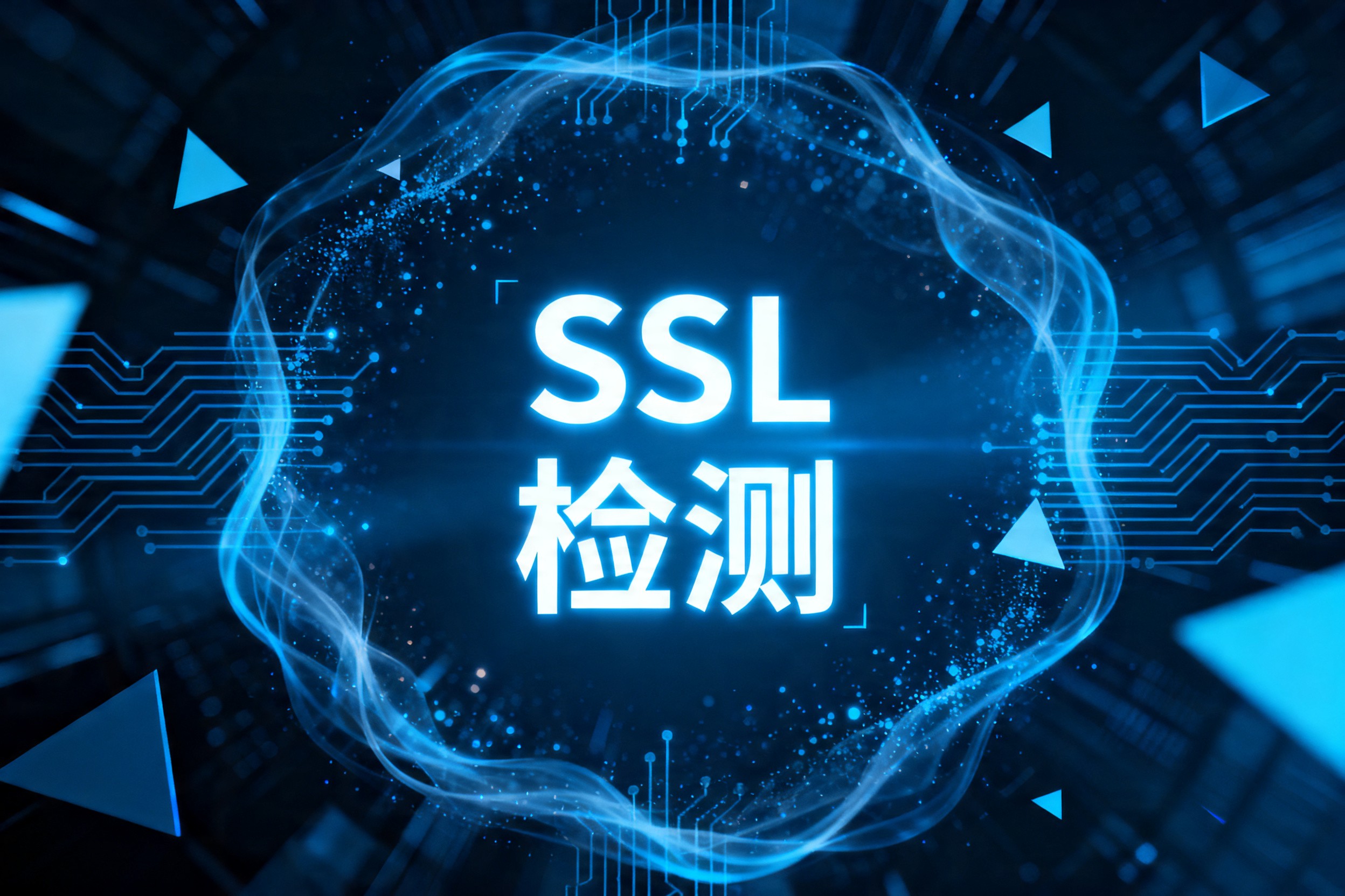 SSL检测