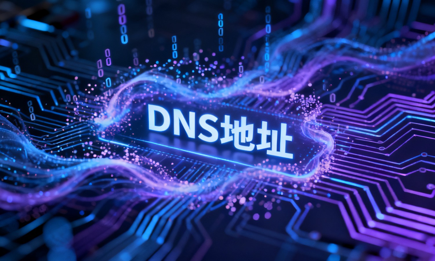 DNS地址