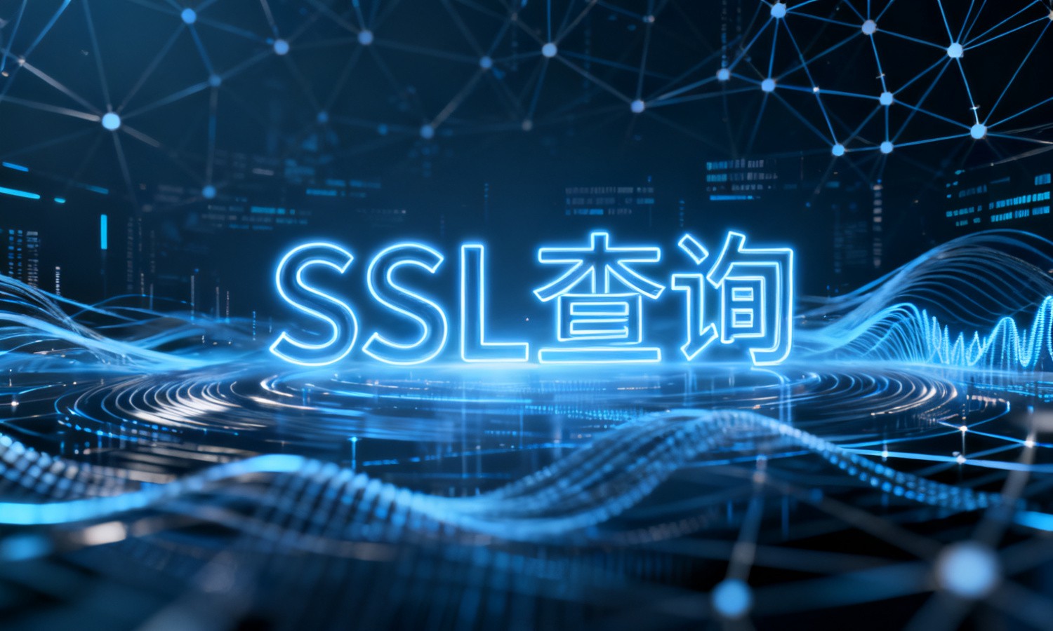 SSL查询