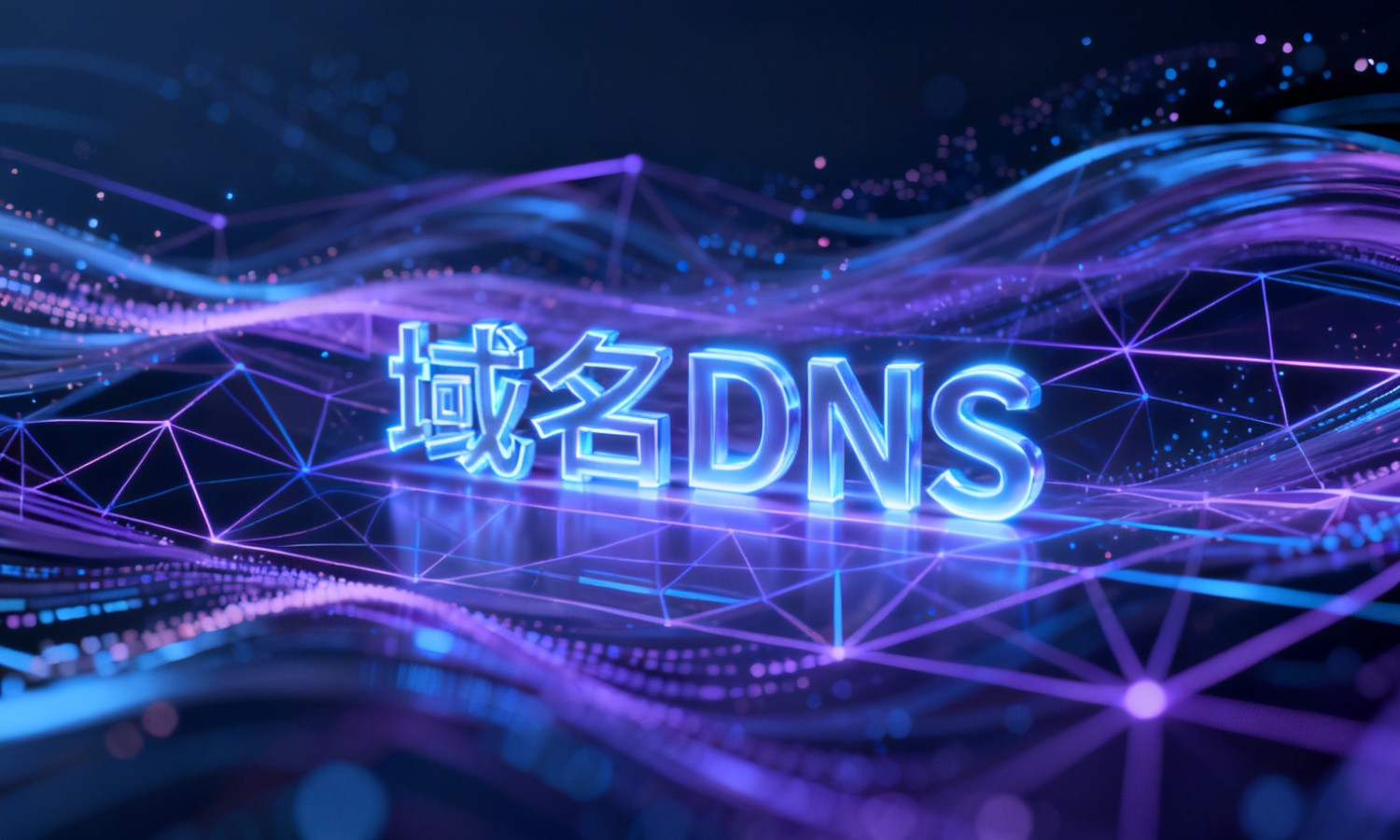 域名DNS