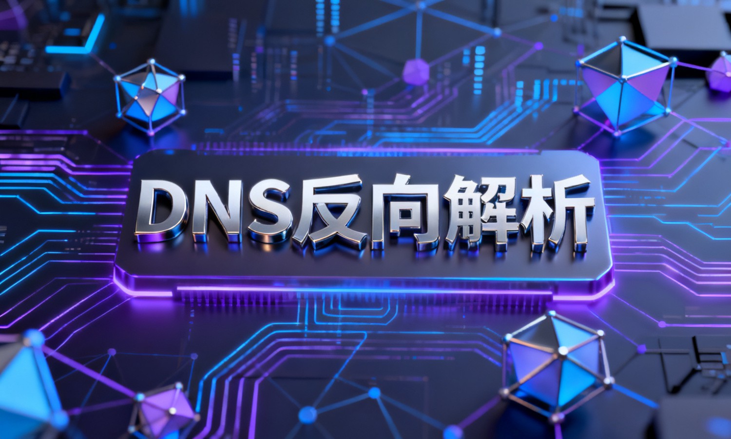 DNS反向解析