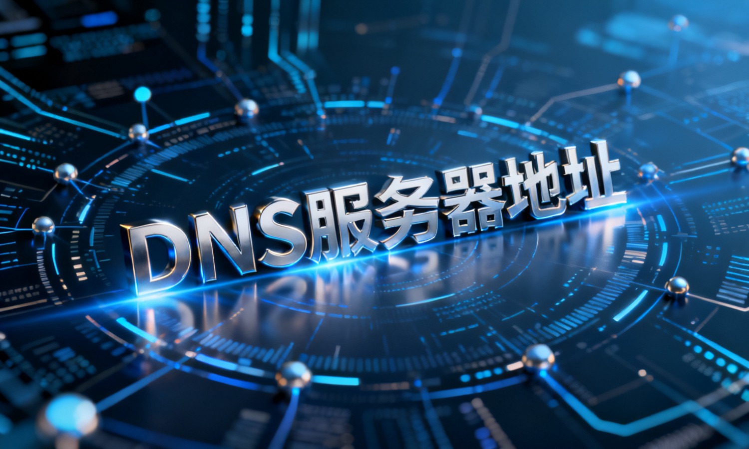 DNS服务器地址