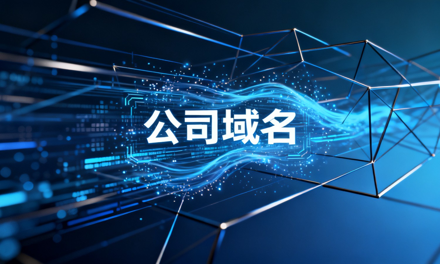 公司域名