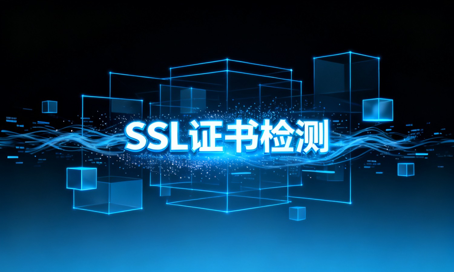 SSL证书检测