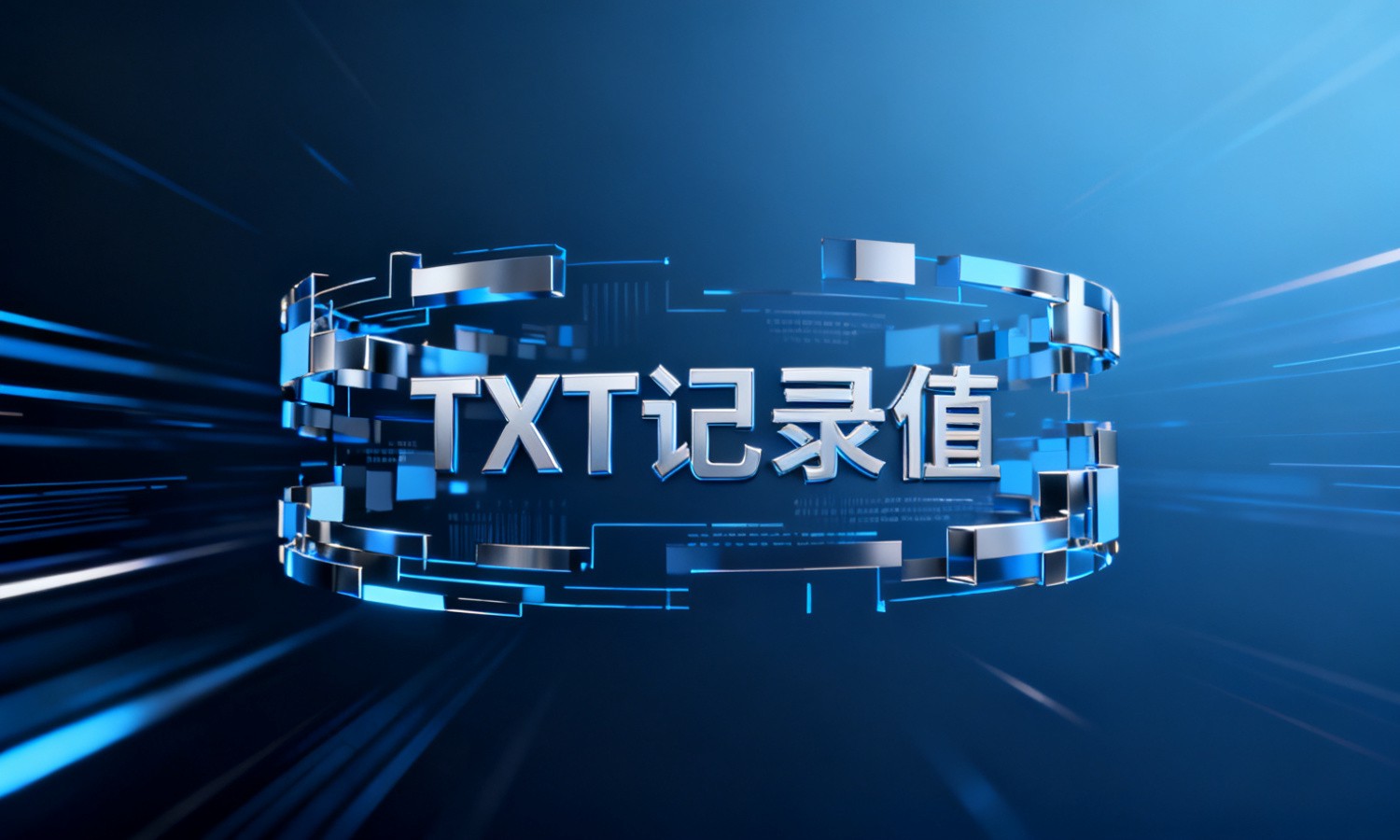 TXT记录值