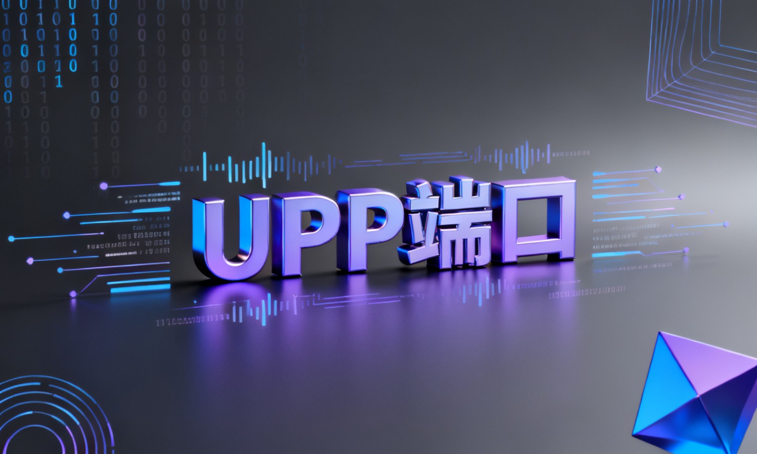 UDP端口