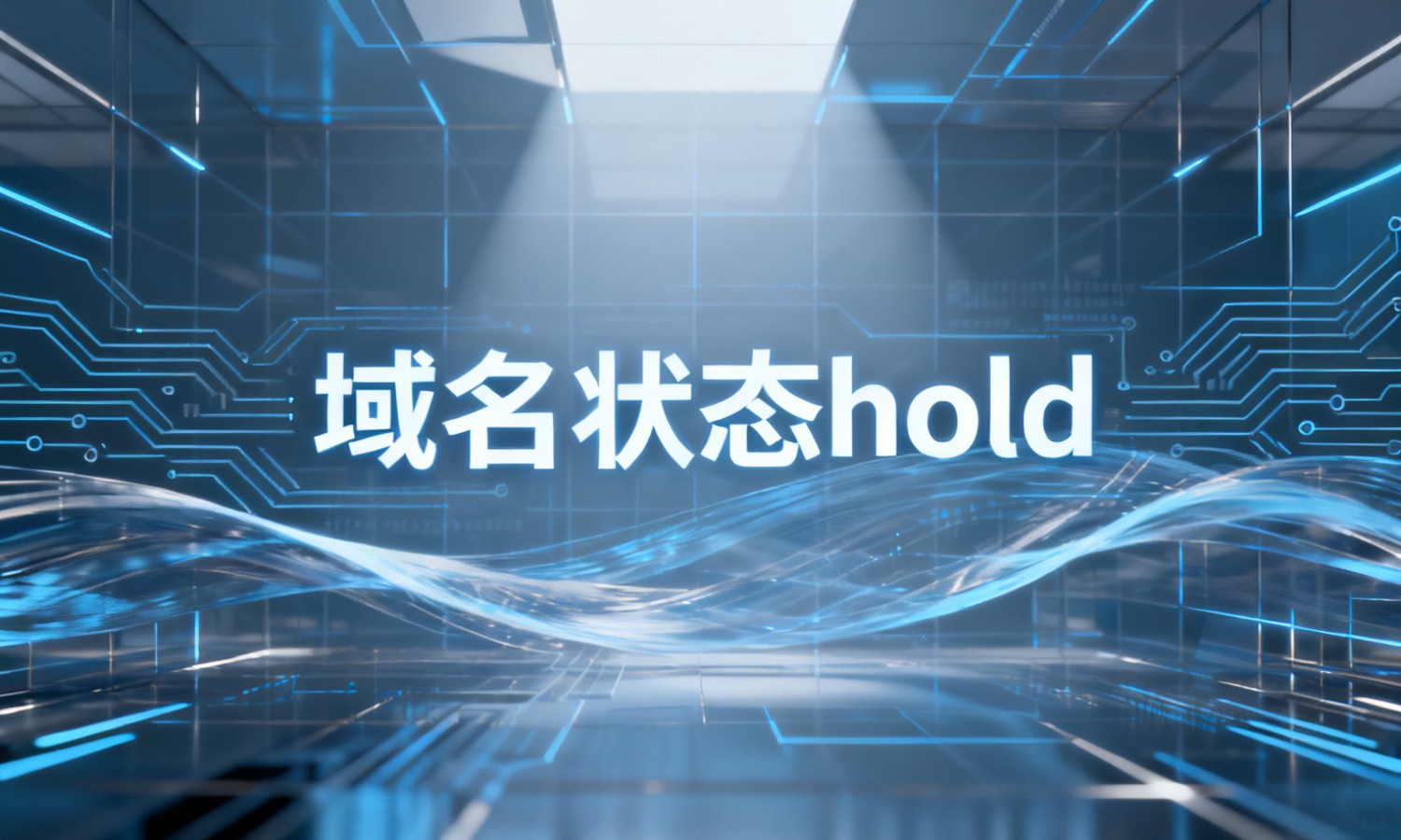 域名状态hold