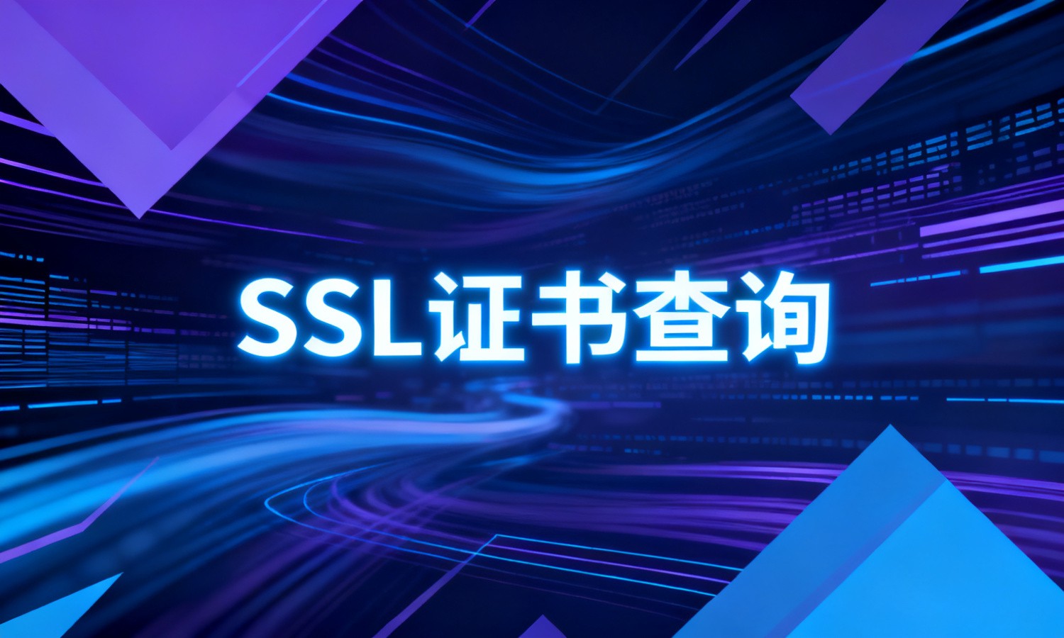 SSL证书查询