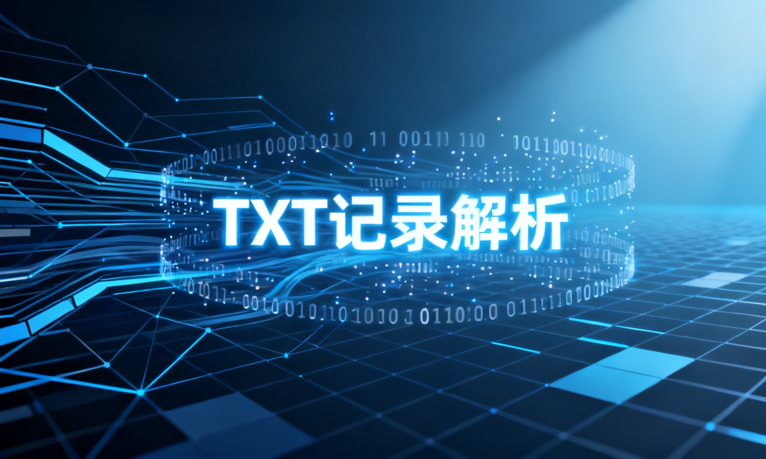 TXT记录解析