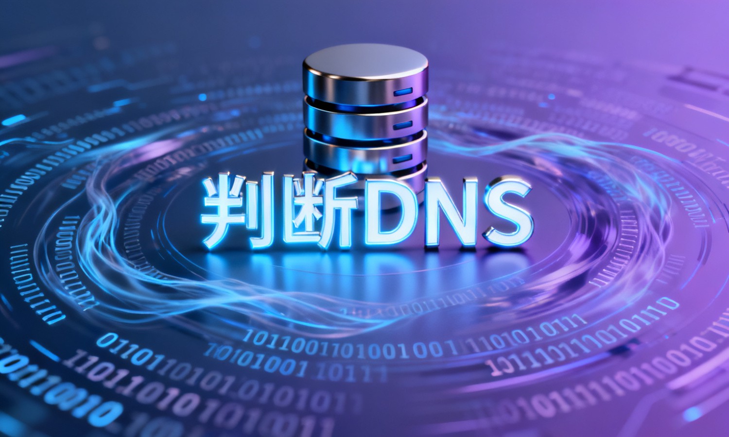 判断DNS