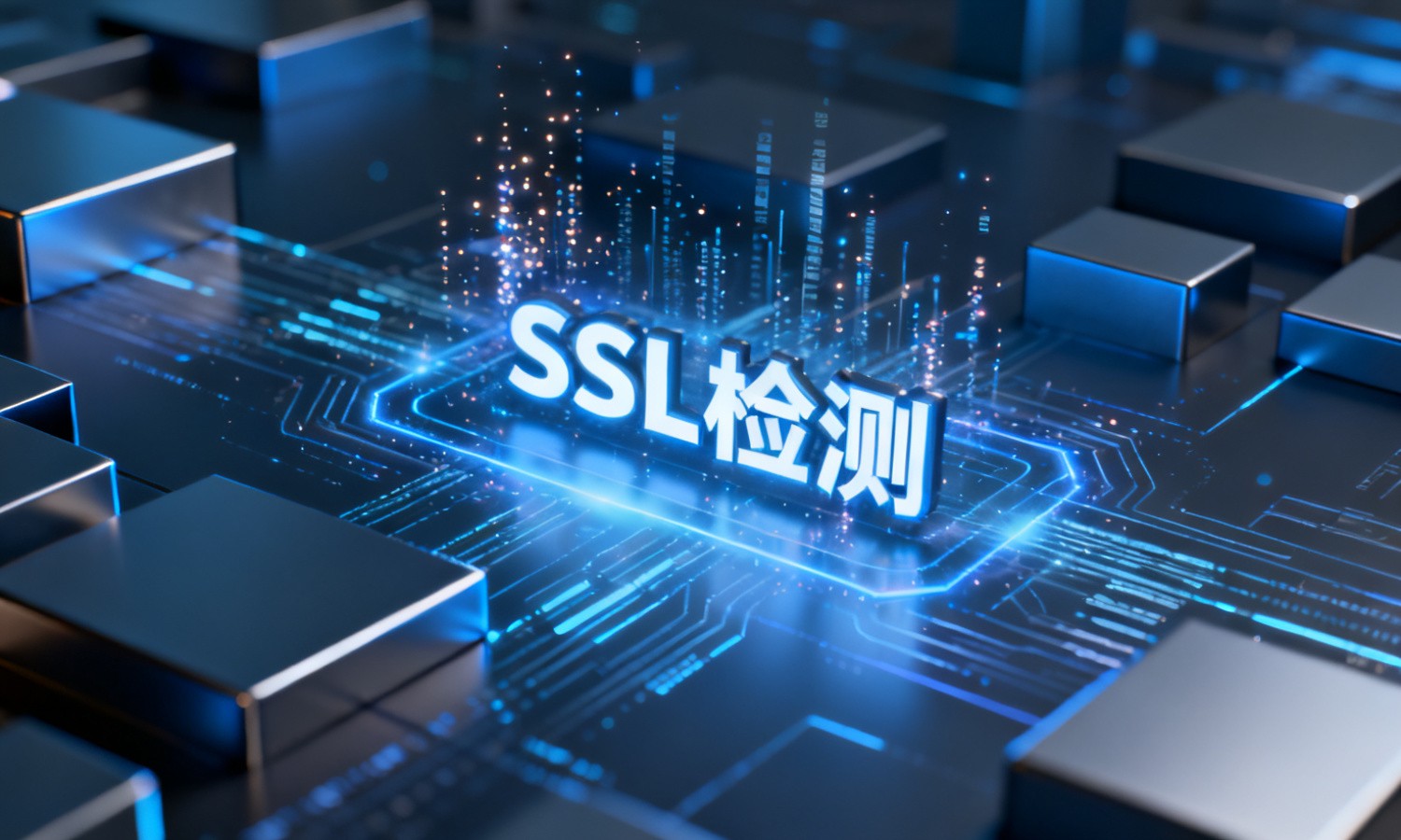 SSL检测