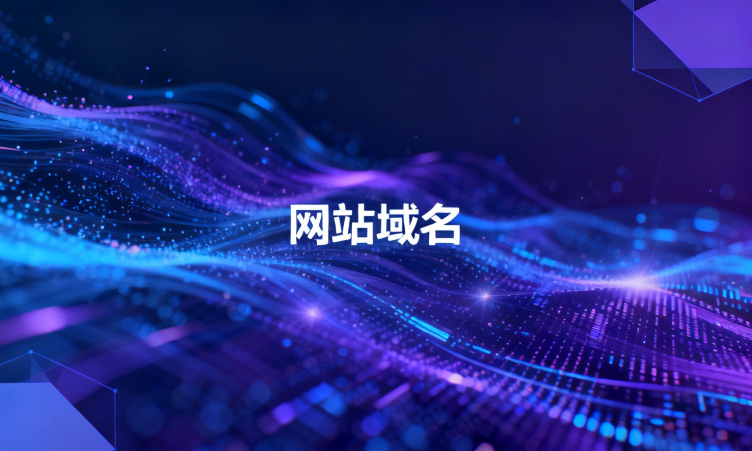 网站域名