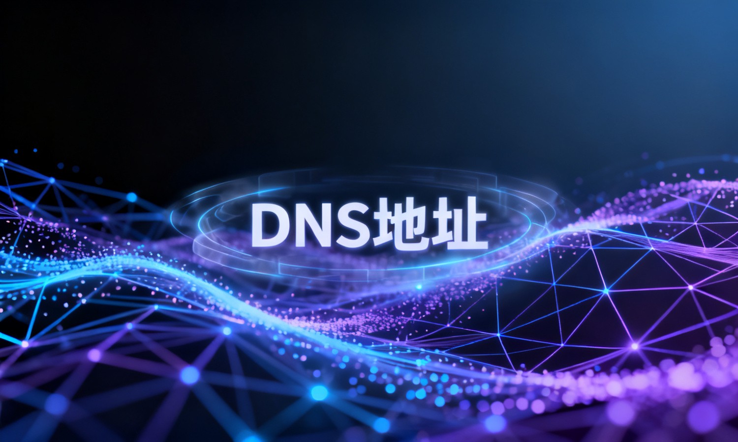 DNS地址