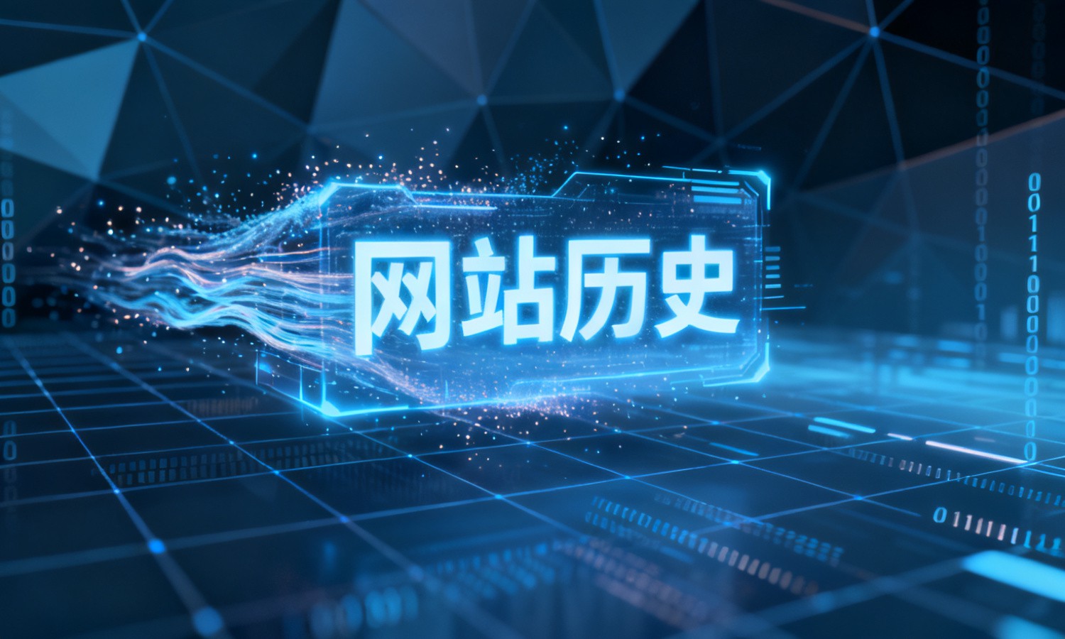 网站历史
