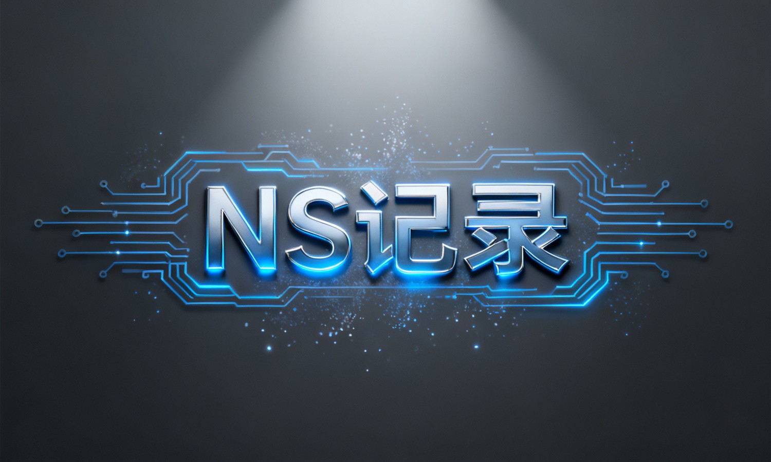 NS记录