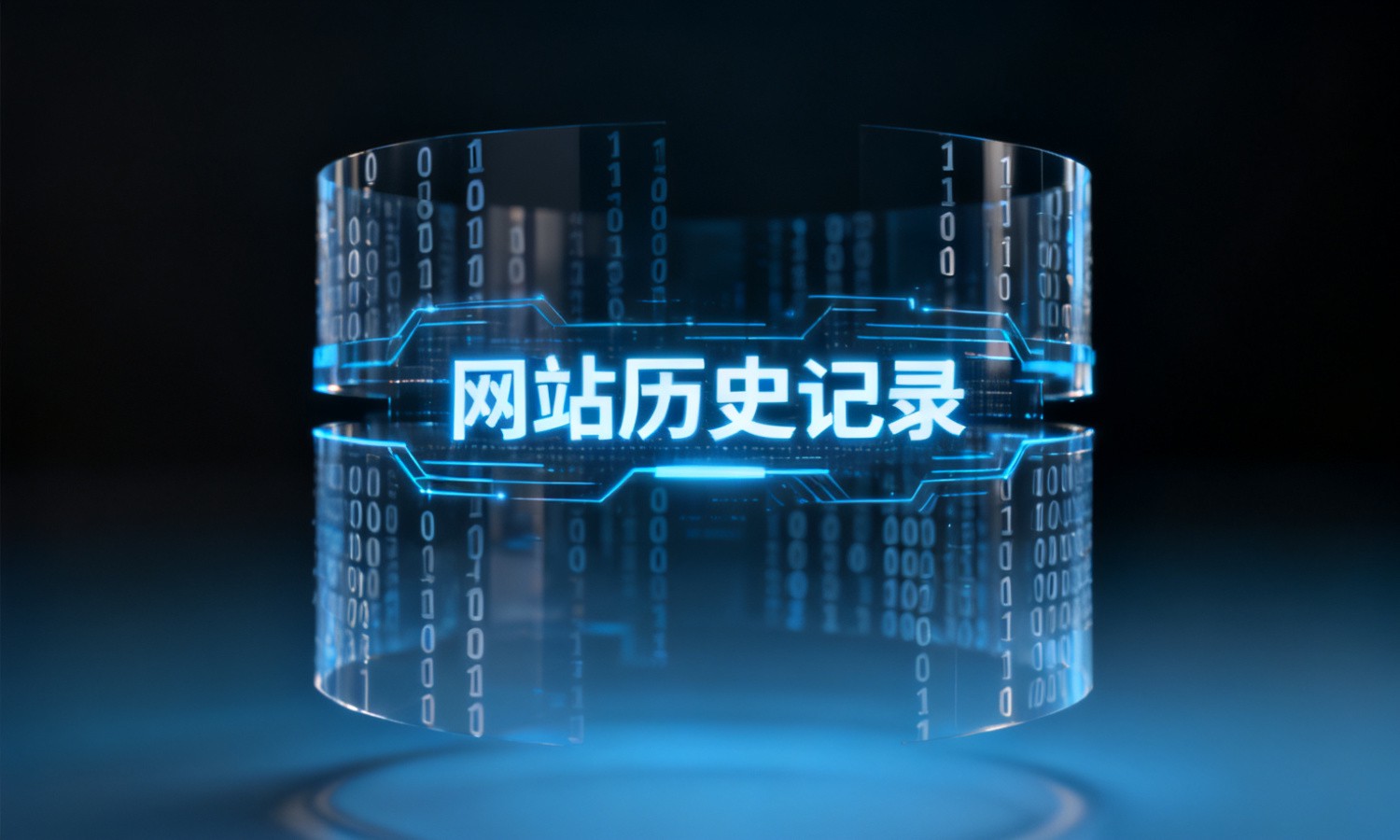 网站历史记录
