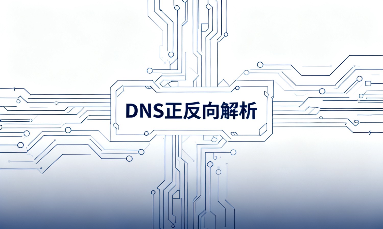 DNS正反向解析
