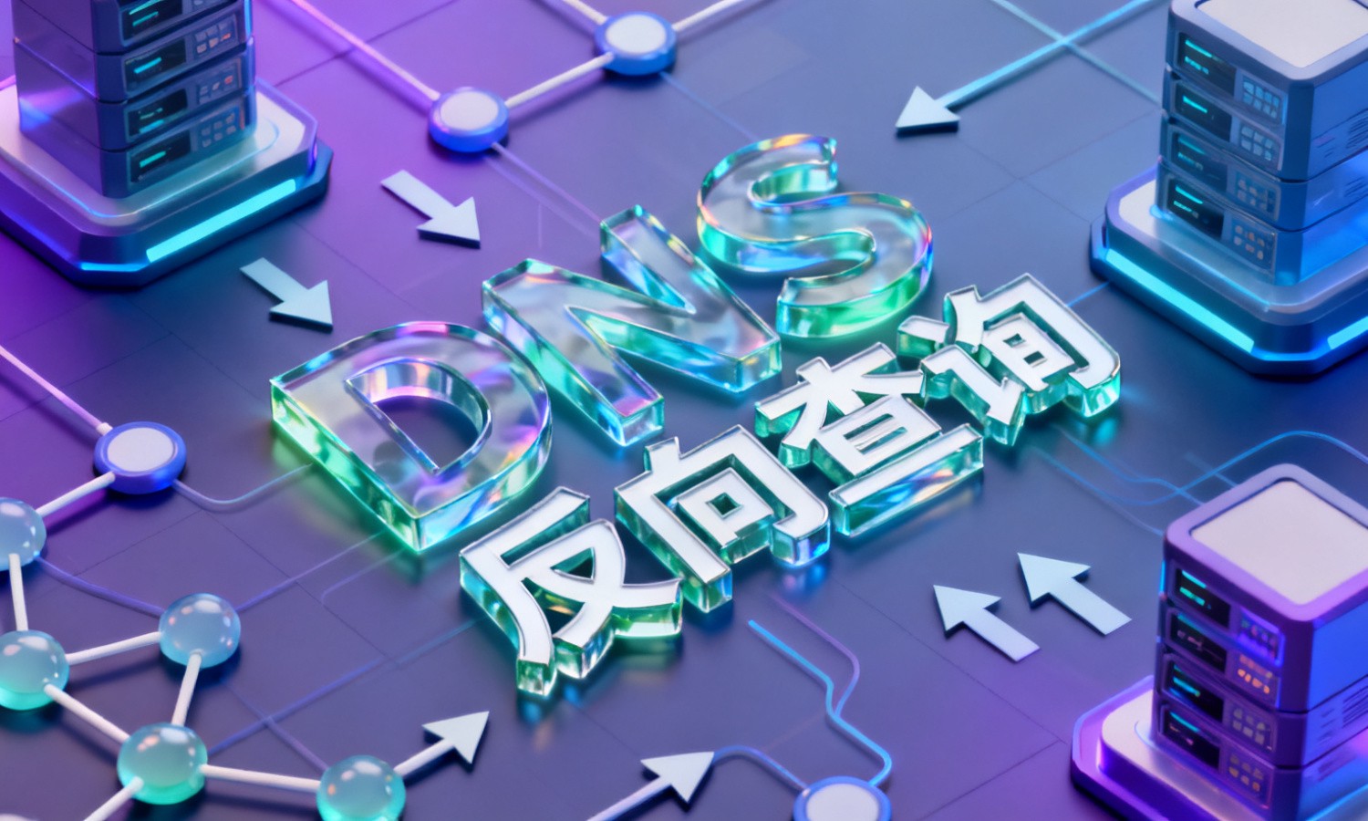 DNS反向查询