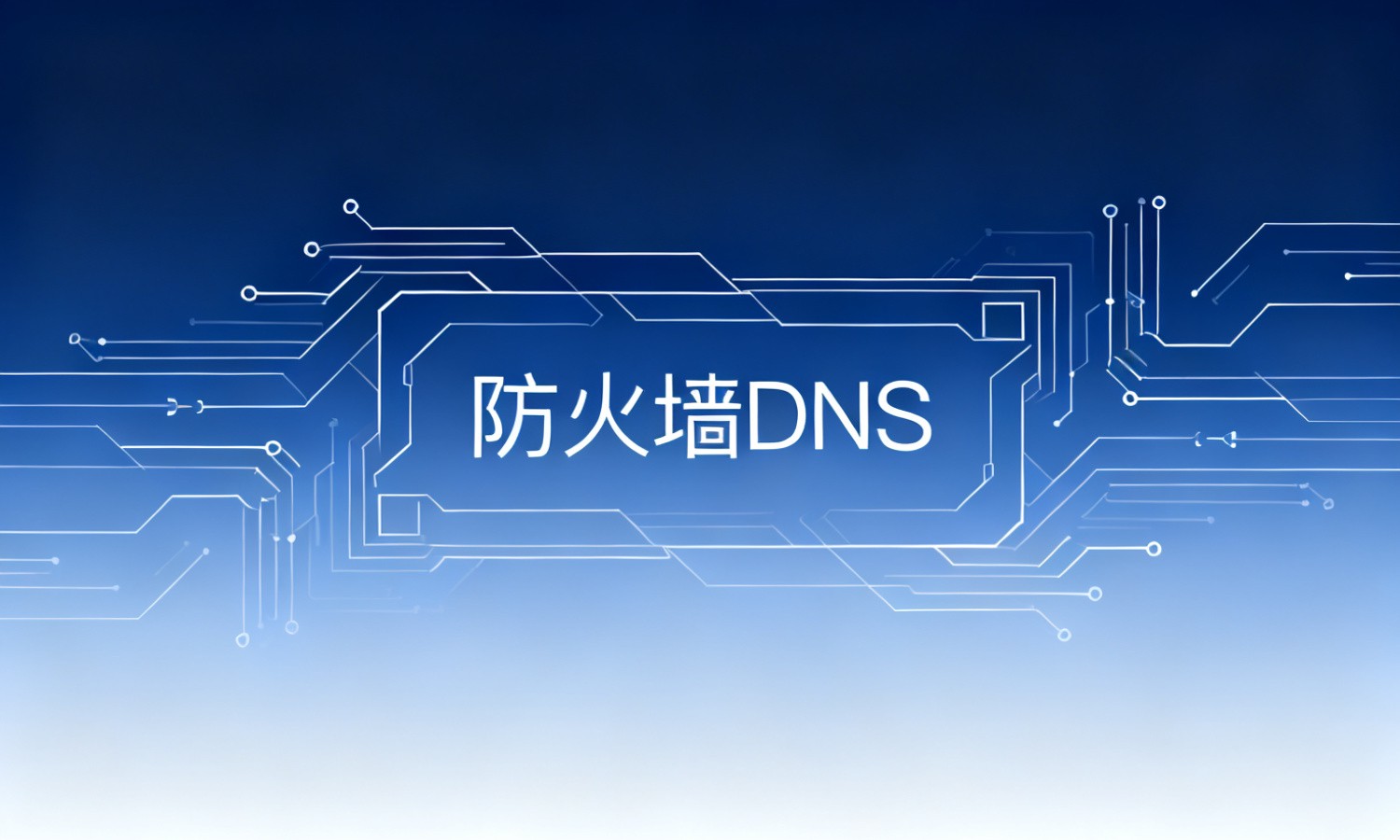 防火墙DNS