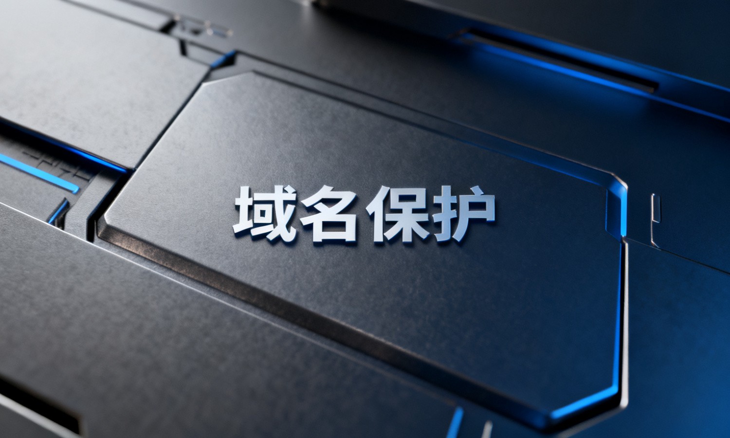 域名保护