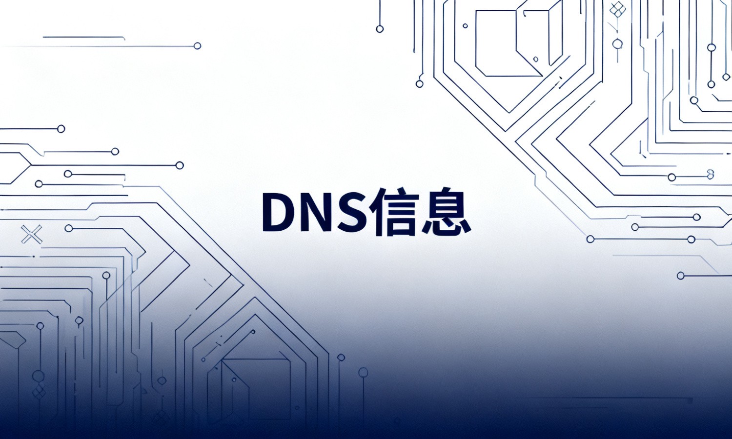 DNS信息