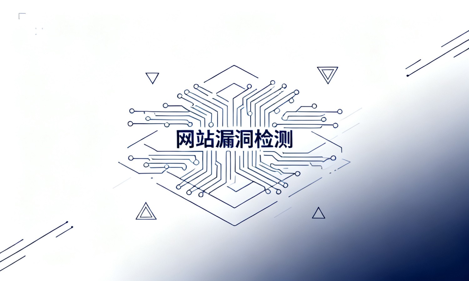 网站漏洞检测