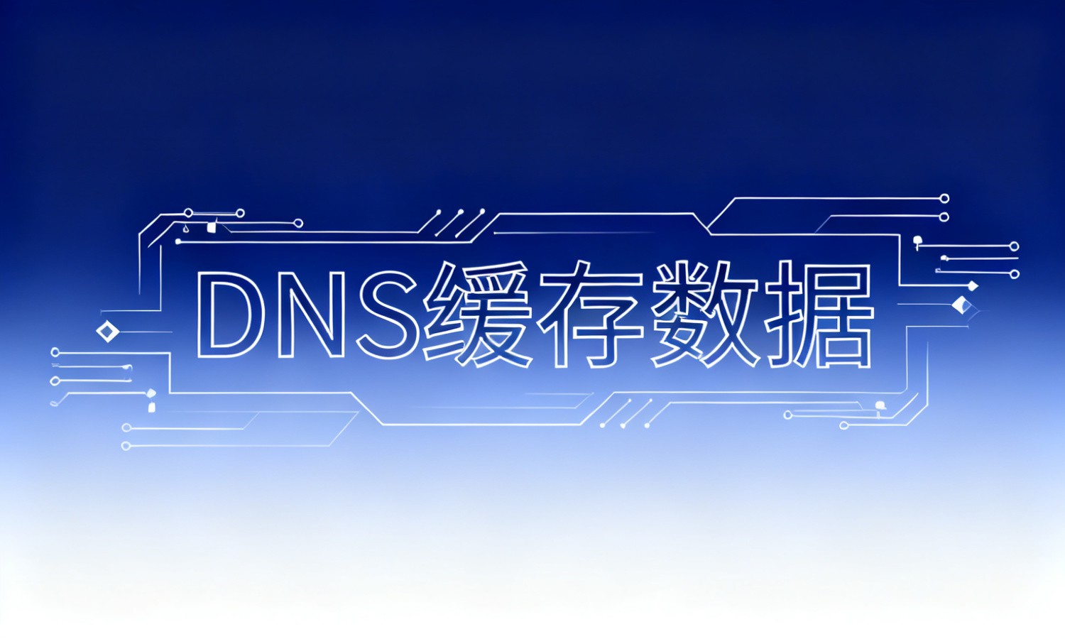 DNS缓存数据