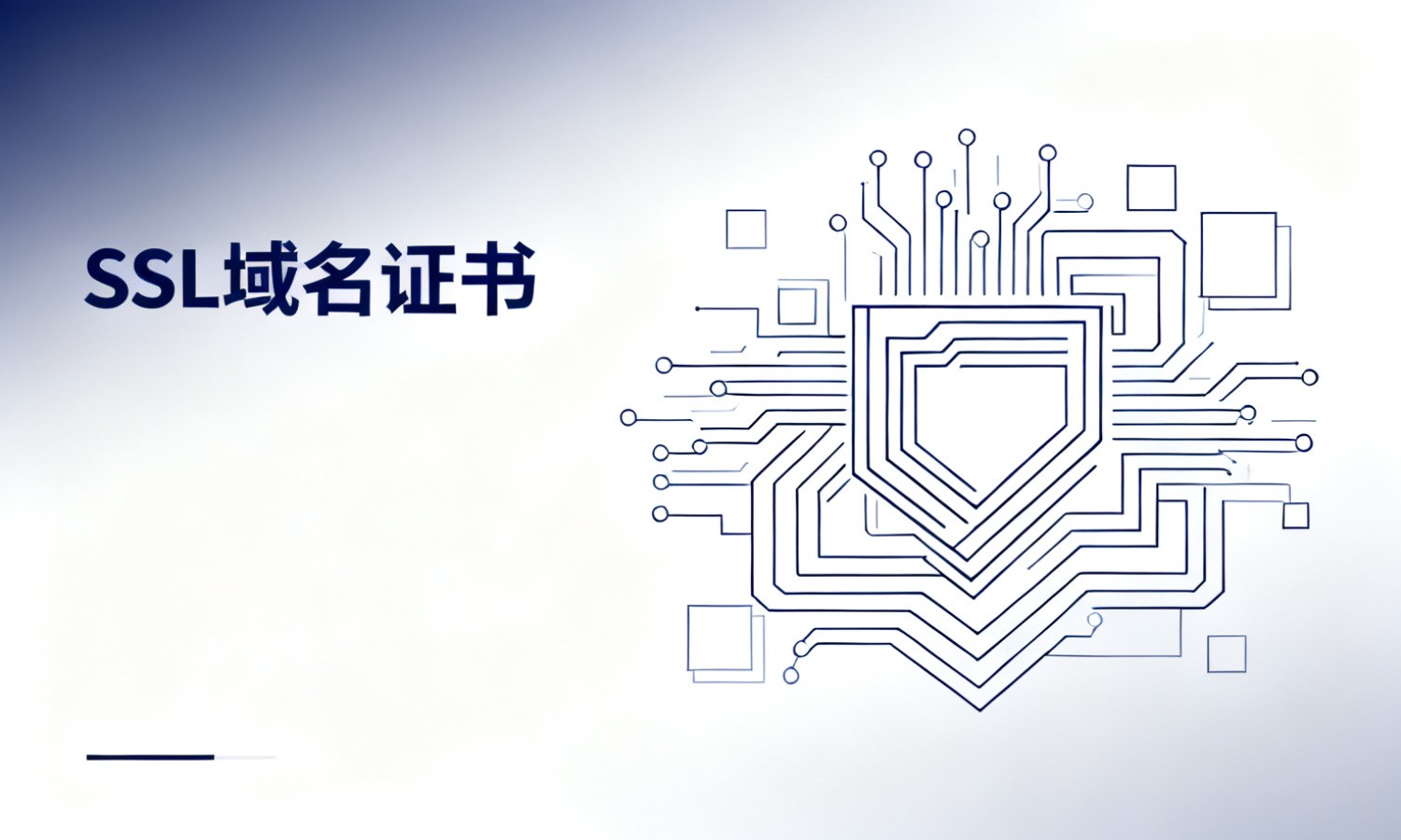 SSL域名证书