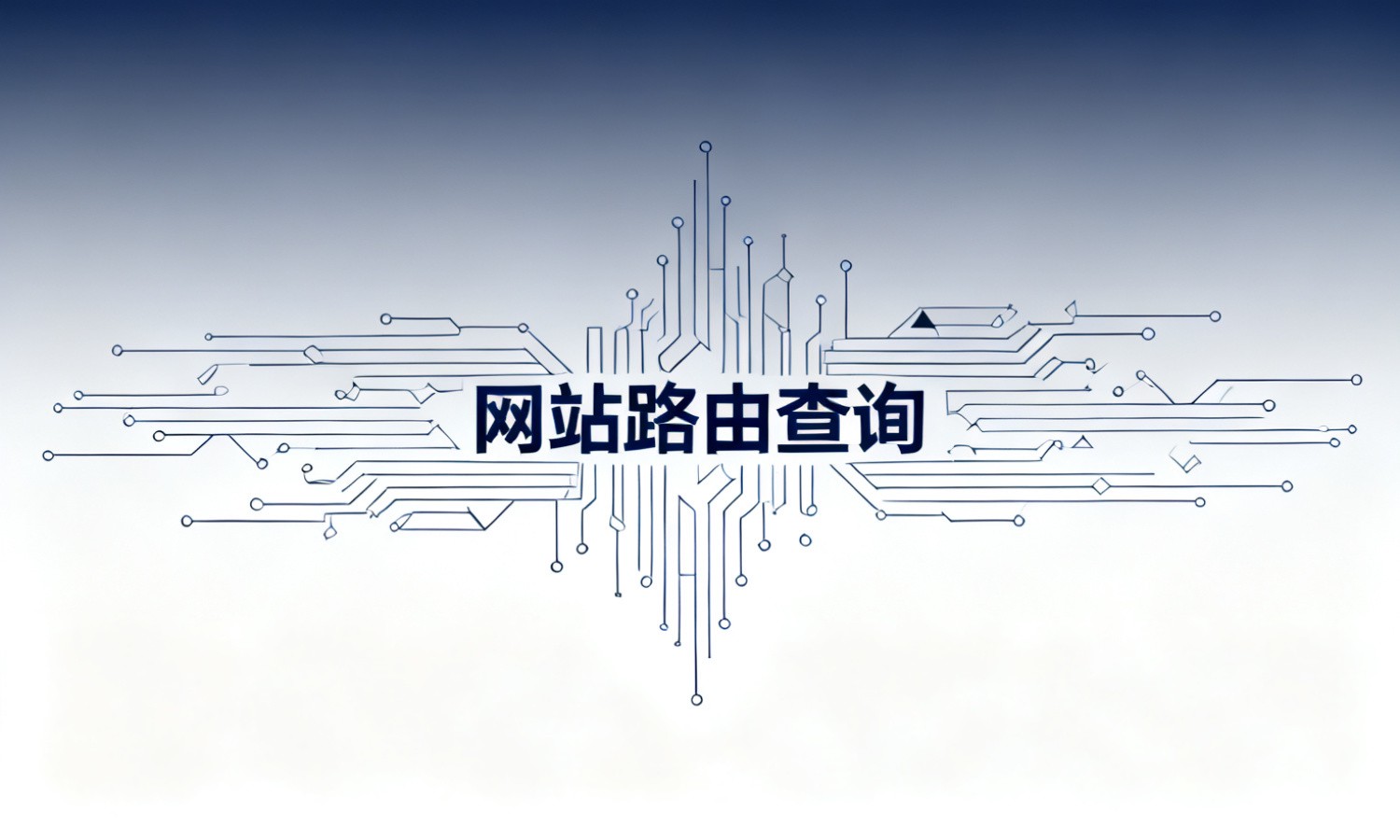 网站路由查询