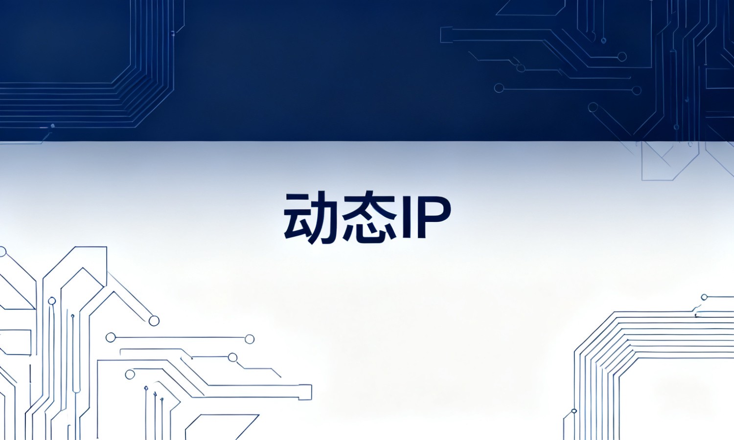 动态IP
