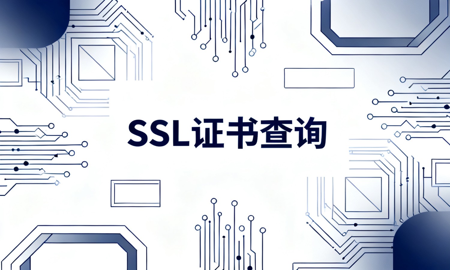 SSL证书查询